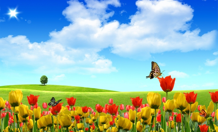 Lire la suite à propos de l’article PROGRAMMES PETITES VACANCES DE PRINTEMPS
